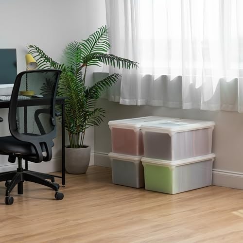 File Box, File Organizer w/Hinged Split Lid for Letter File, Wing Lid - 4 Pack