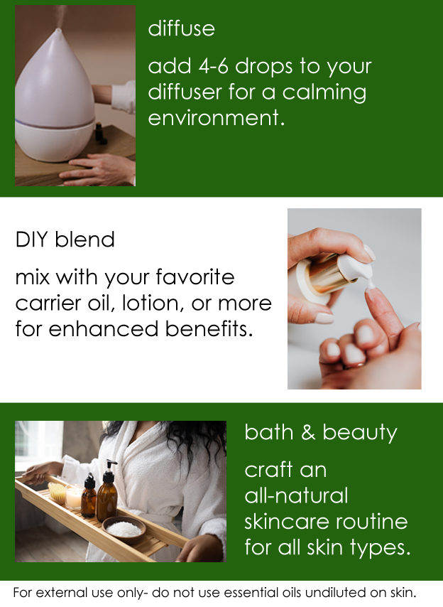Chamomile Roman Essential Oil 15% Dilution