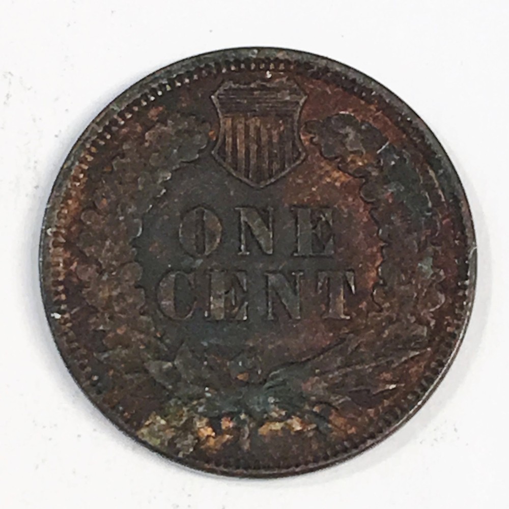 1901 Indian Cent - High Quality Scans #C785