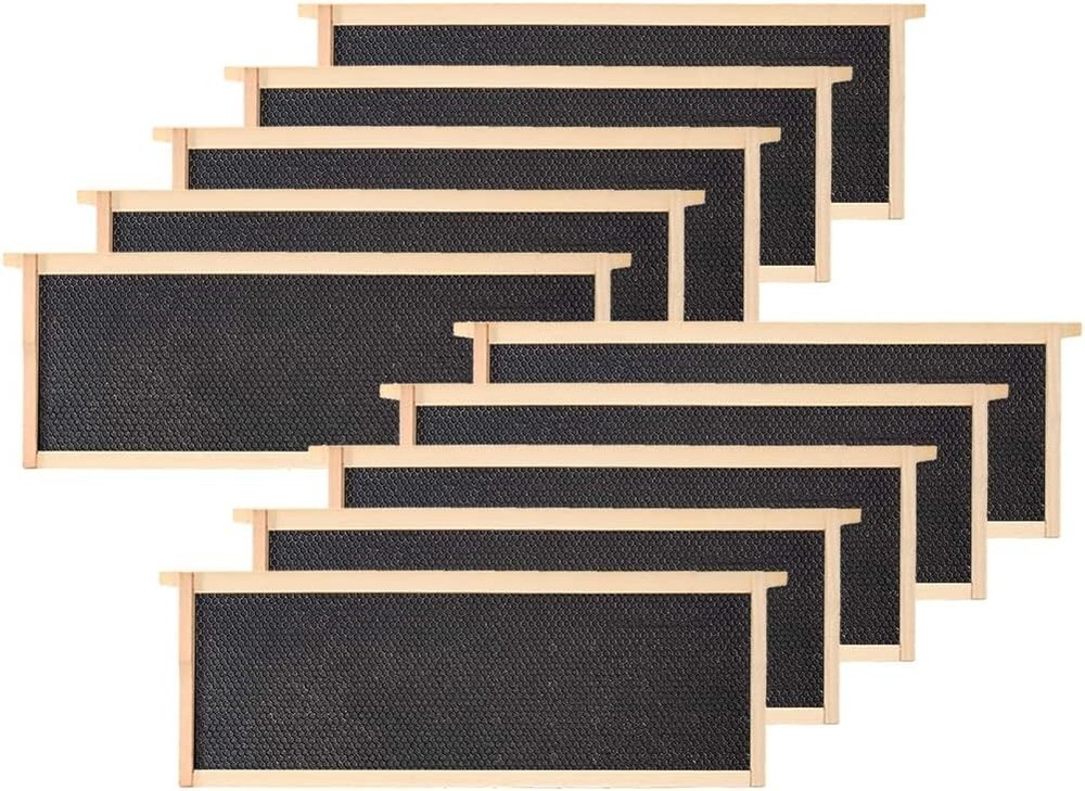 10 - Pack Medium Beehive Frames with Beeswax Foundations – Fits Langstroth Hive