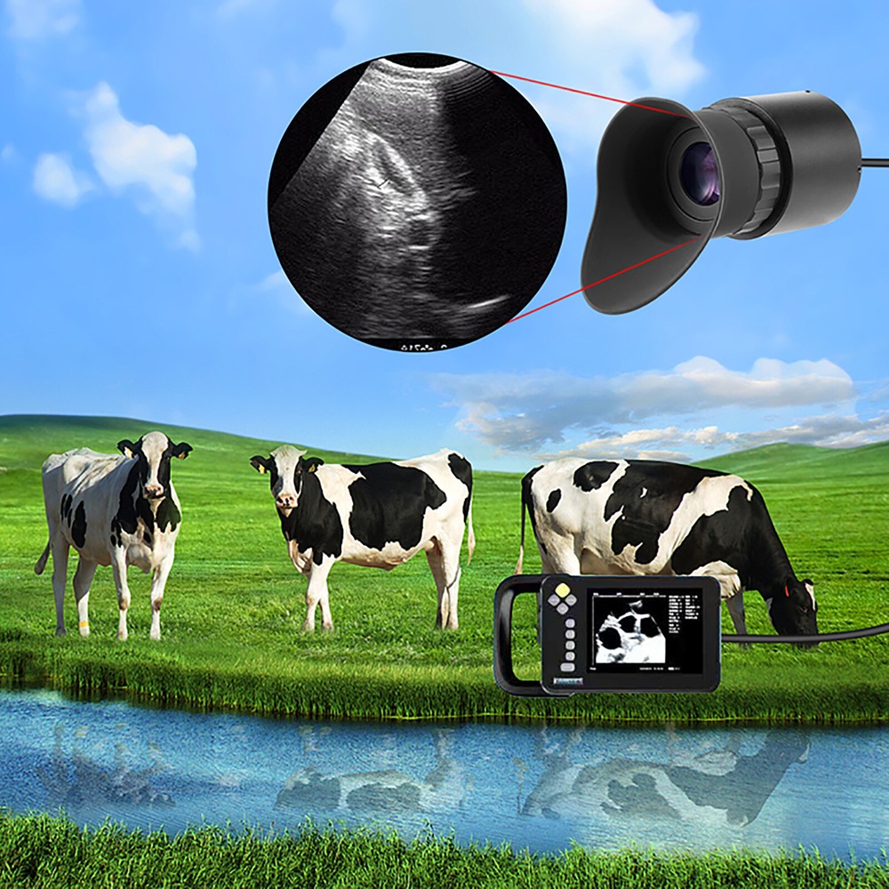 V760C-3 Wearing Large HD Screen Portable Display Head Mounted Display