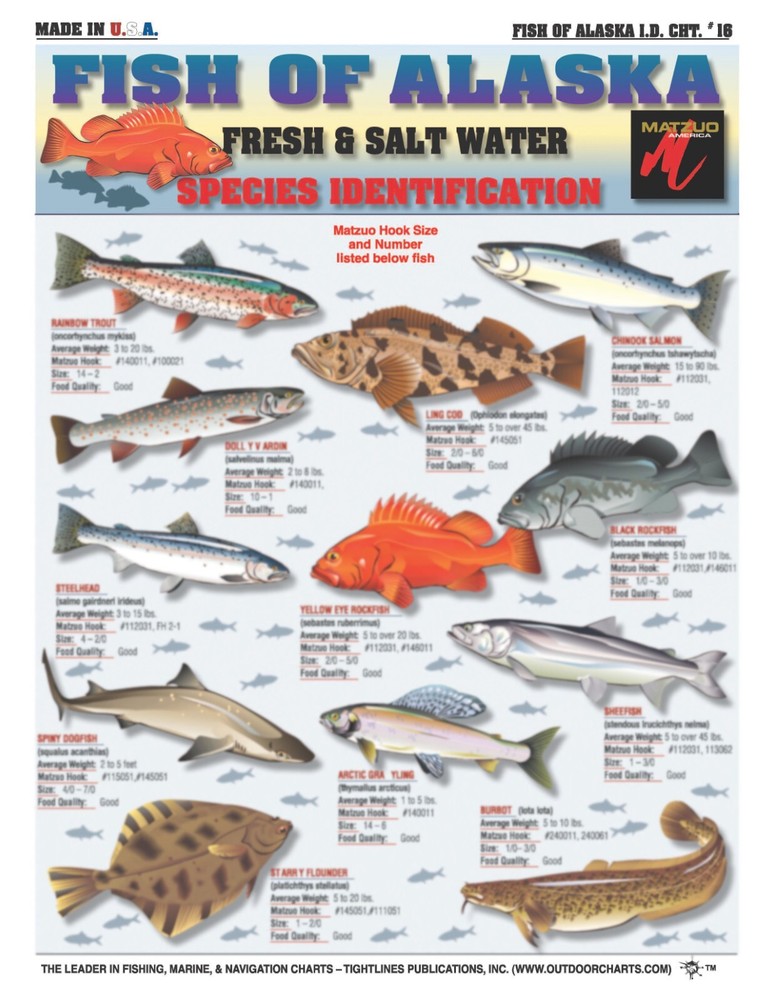 Fishermen's Saltwater Fish Identification Set - Waterproof Quick Reference Guide