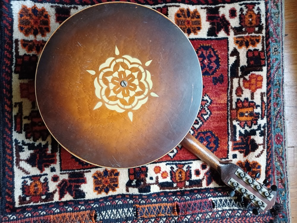 Bacon banjo banjolin