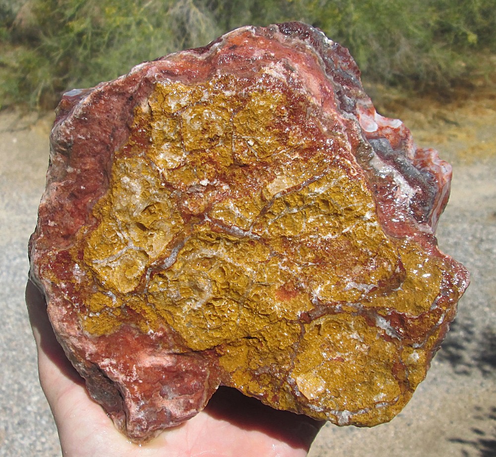 CRAZY LACE AGATE ROUGH ~ 5 lbs 5 ozs