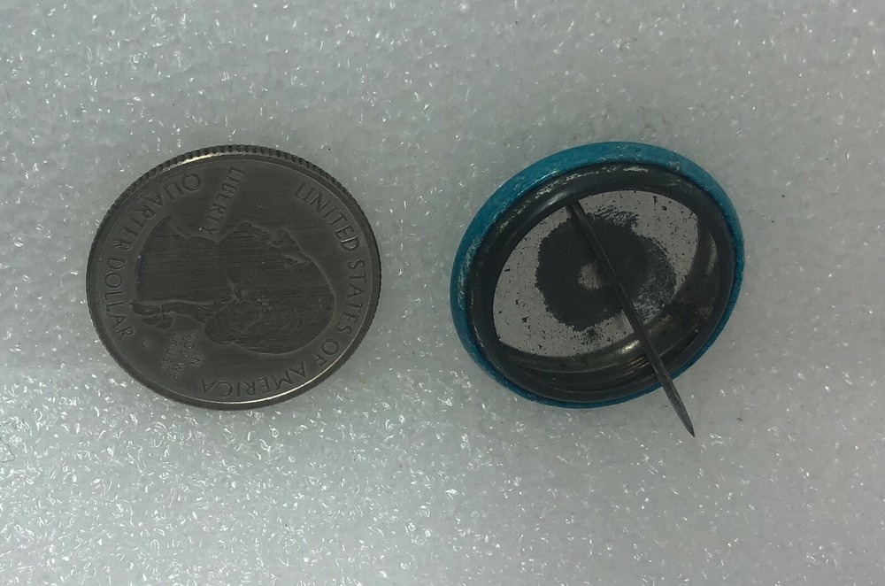 Pools In Schools Pin