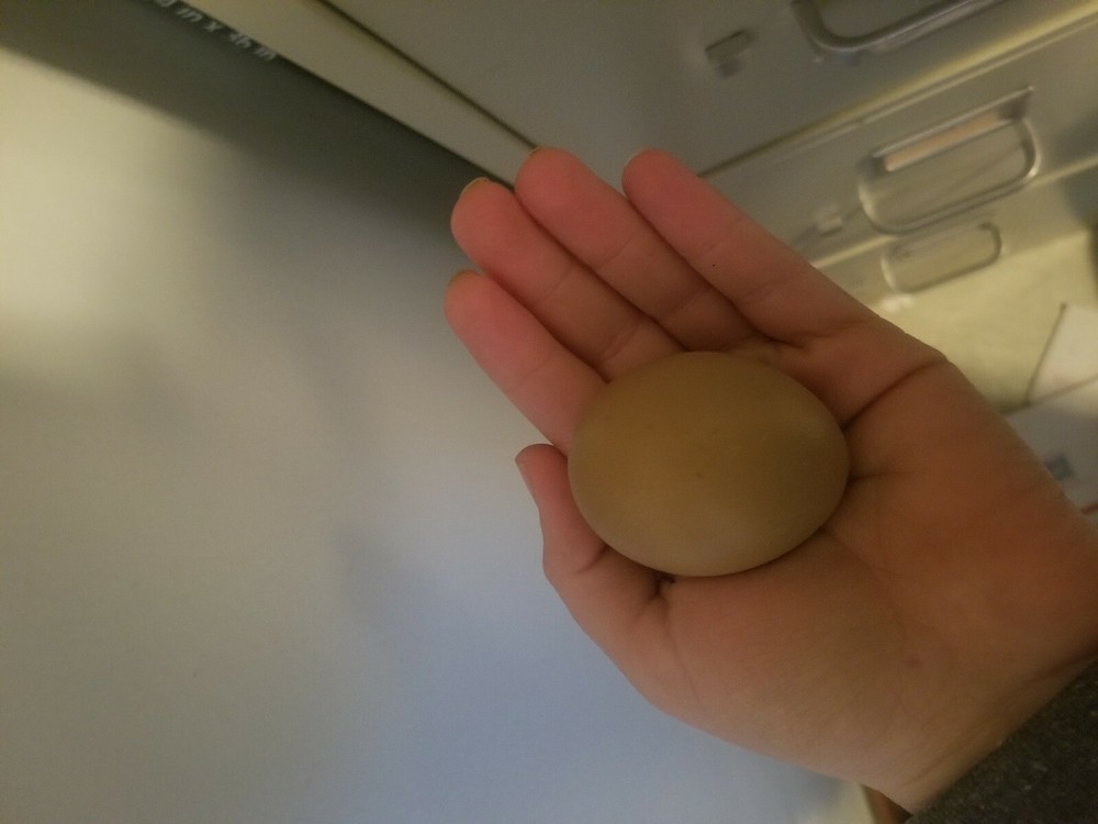 6 Fresh & Fertile Chicken Hatching Eggs - OLIVE EGGER