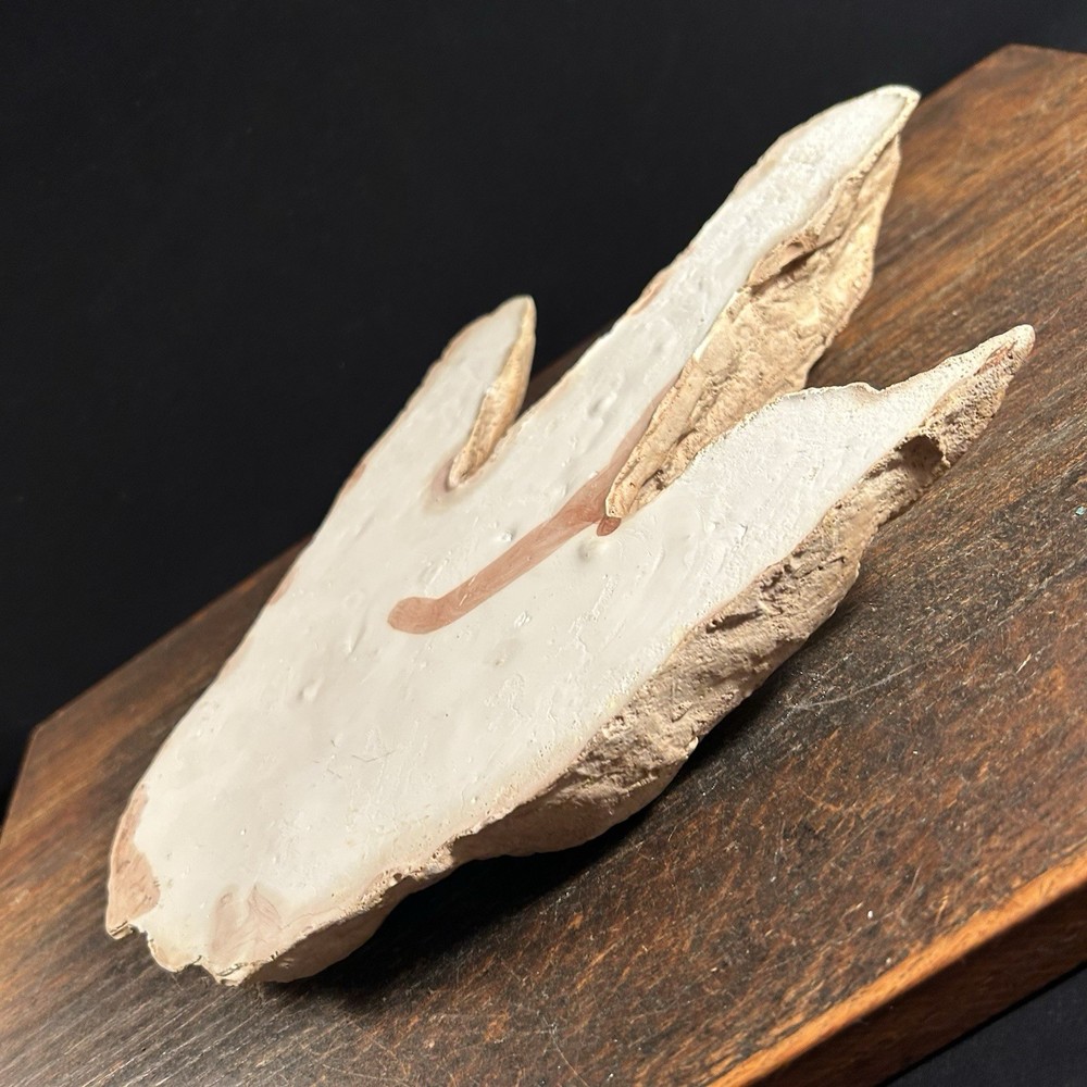 Vintage Dinosaur Footprint Plaster Cast Mold PRIORITY MAIL