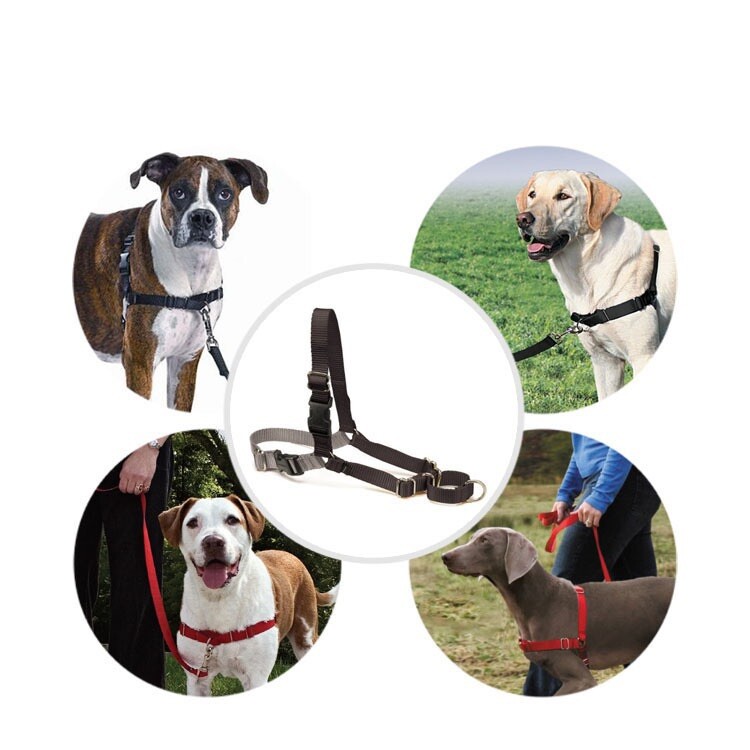 Easy No Pull Dog Harness, Black/Silver (SMALL) Quick On Off Release Buckle