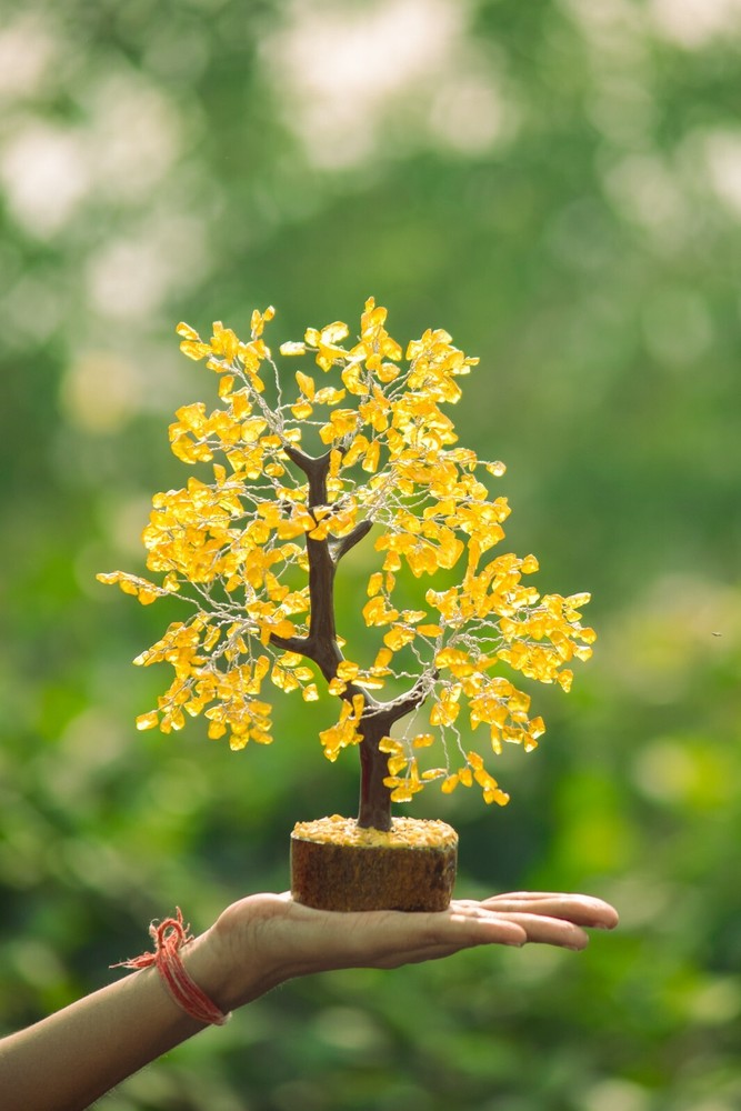 Gemstone Citrine 500 Chips Gem Tree