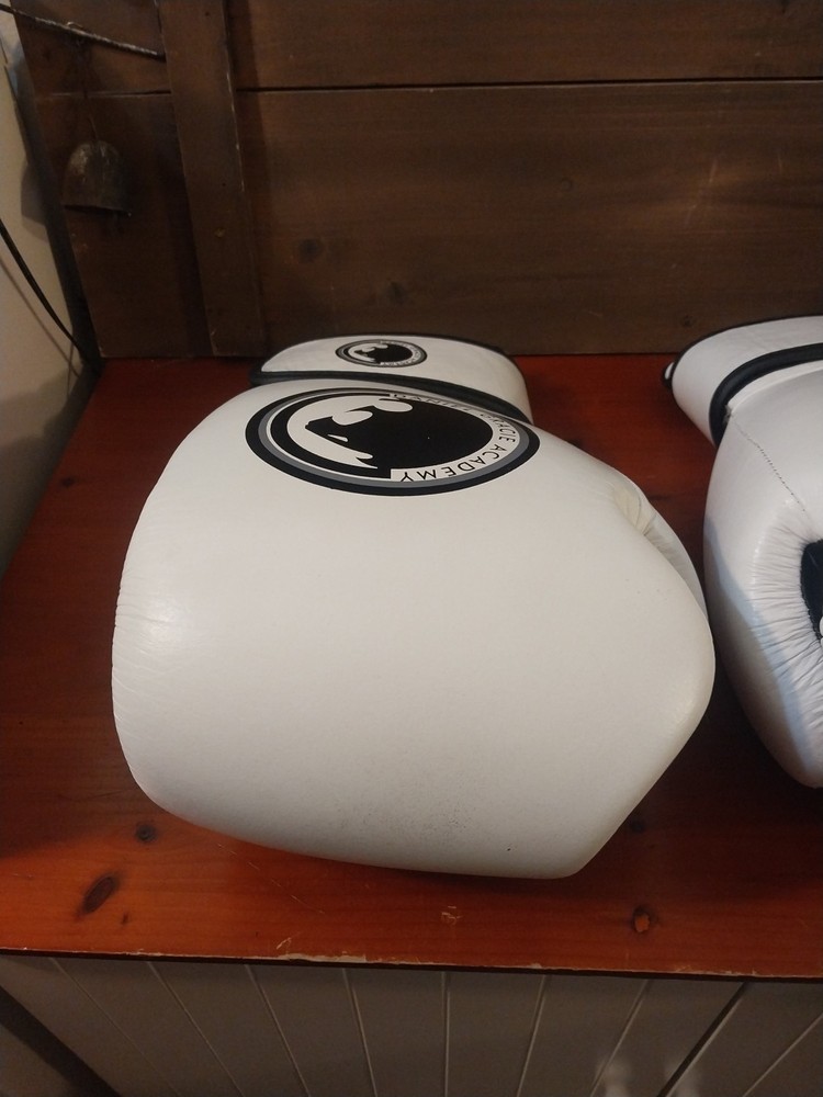 Daniel Gracie 16oz gloves