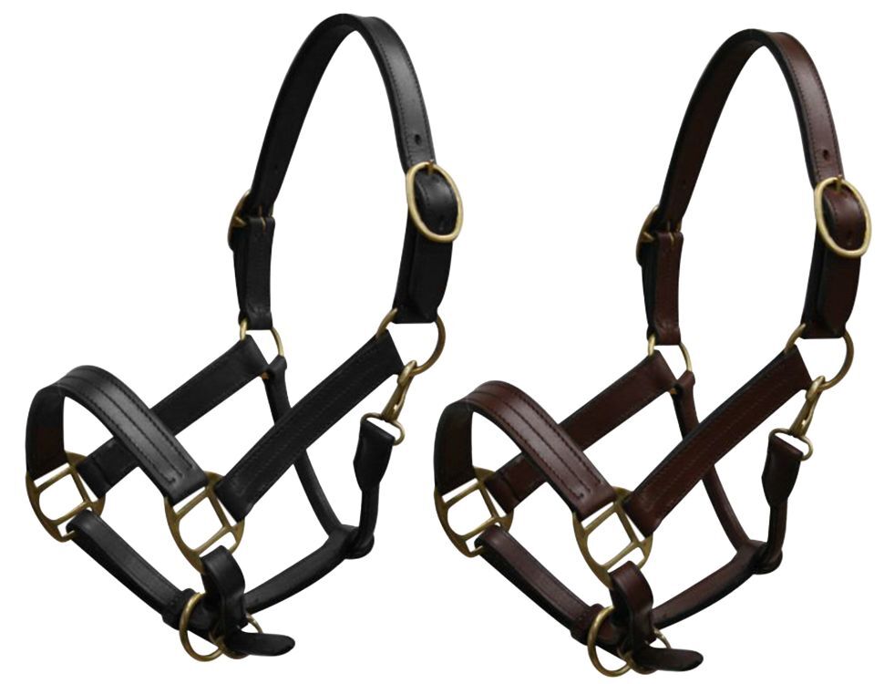 Yearling Leather Halter w/ Brass Hardware