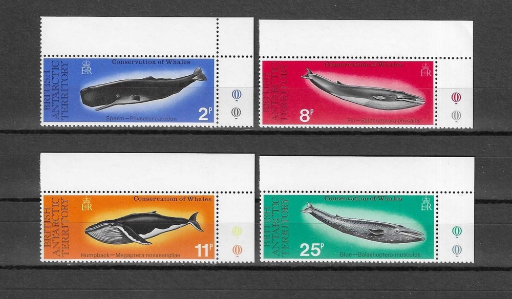 BRITISH ANTARCTIC TERRITORY 1977 SG 79/82 MNH