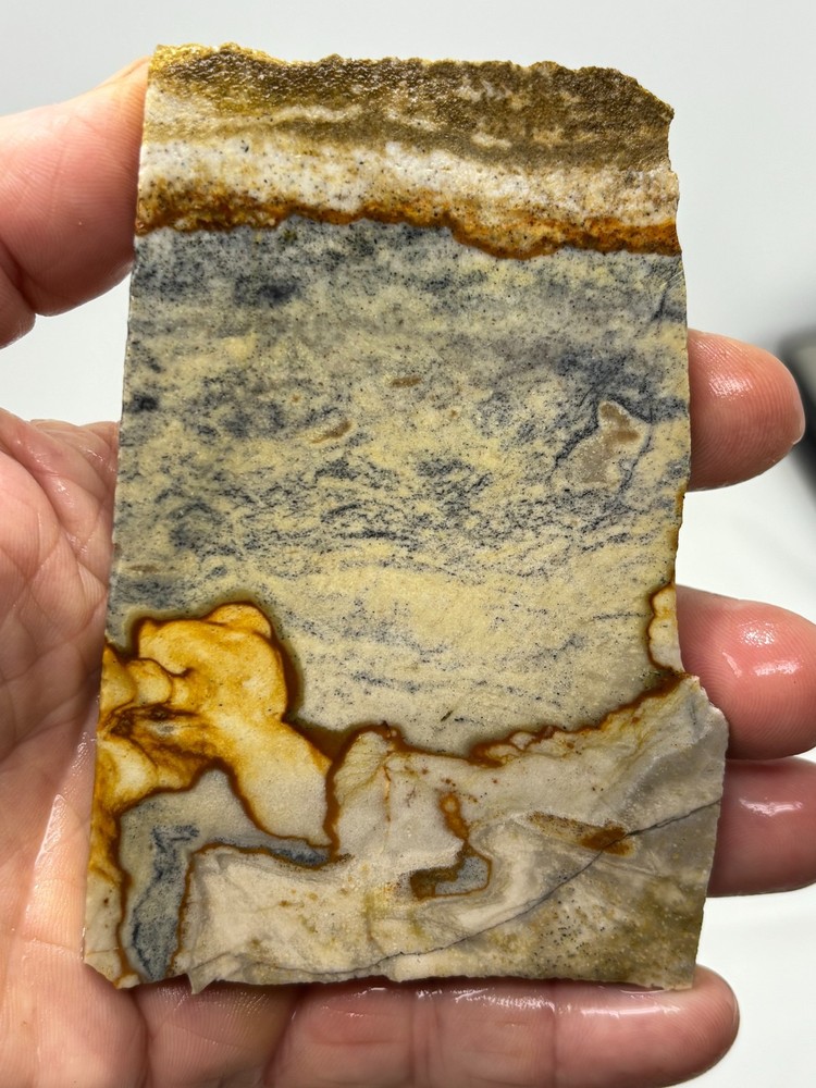 Disaster Peak Picture Jasper slab Cabbing Lapidary Collecting Combo Ship Avail