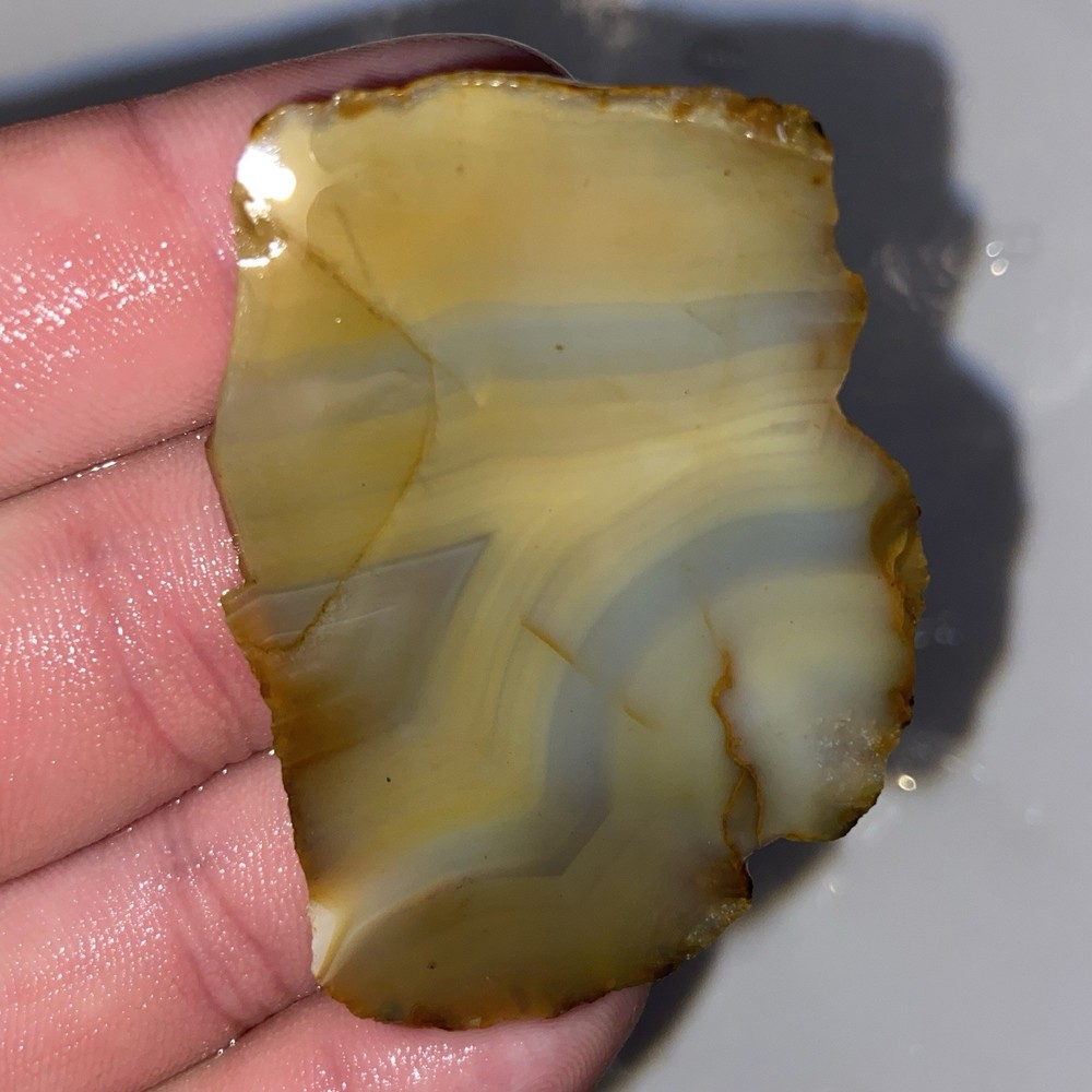 Colorful 9 Pc Agate Jasper End Cuts Lot 7.94 Oz