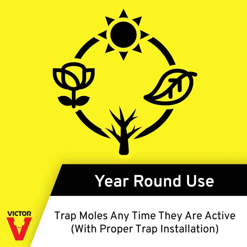 Plunger Style Mole Trap