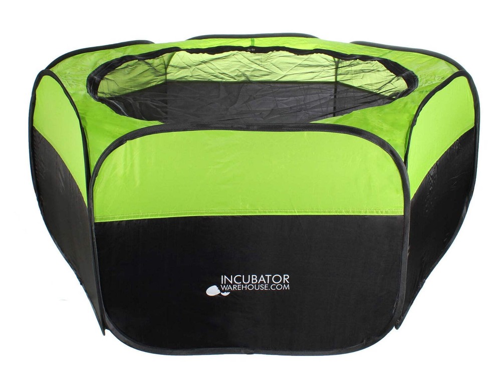 Incubator Warehouse Insta Brooder™ with Vrooder™ Heater Plate