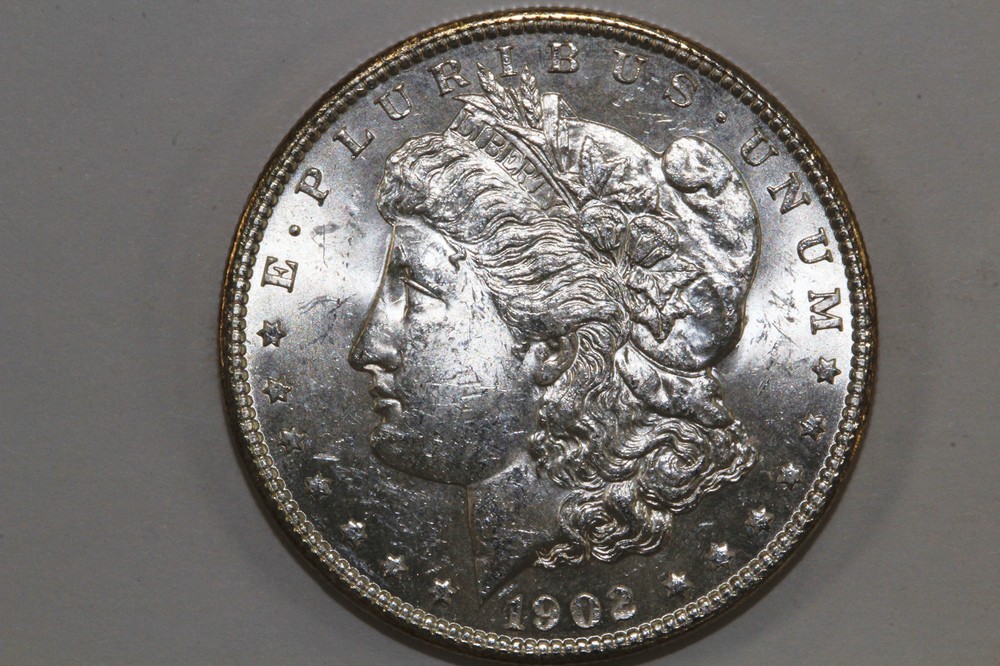 1902-0 Morgan 90% Silver Dollar Blast White MS (MDX5025)