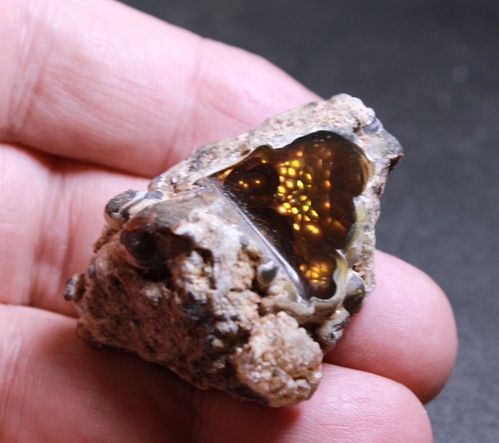 Windowed Fire Agate Rough For Lapidary Cutting BRIGHT COLORS