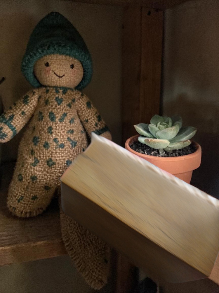 Handmade Cross Stitch Shaker Box, Finished Primitive