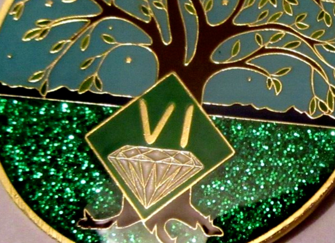 Narcotics Anonymous NA Tree Green 6 Year Medallion Gold