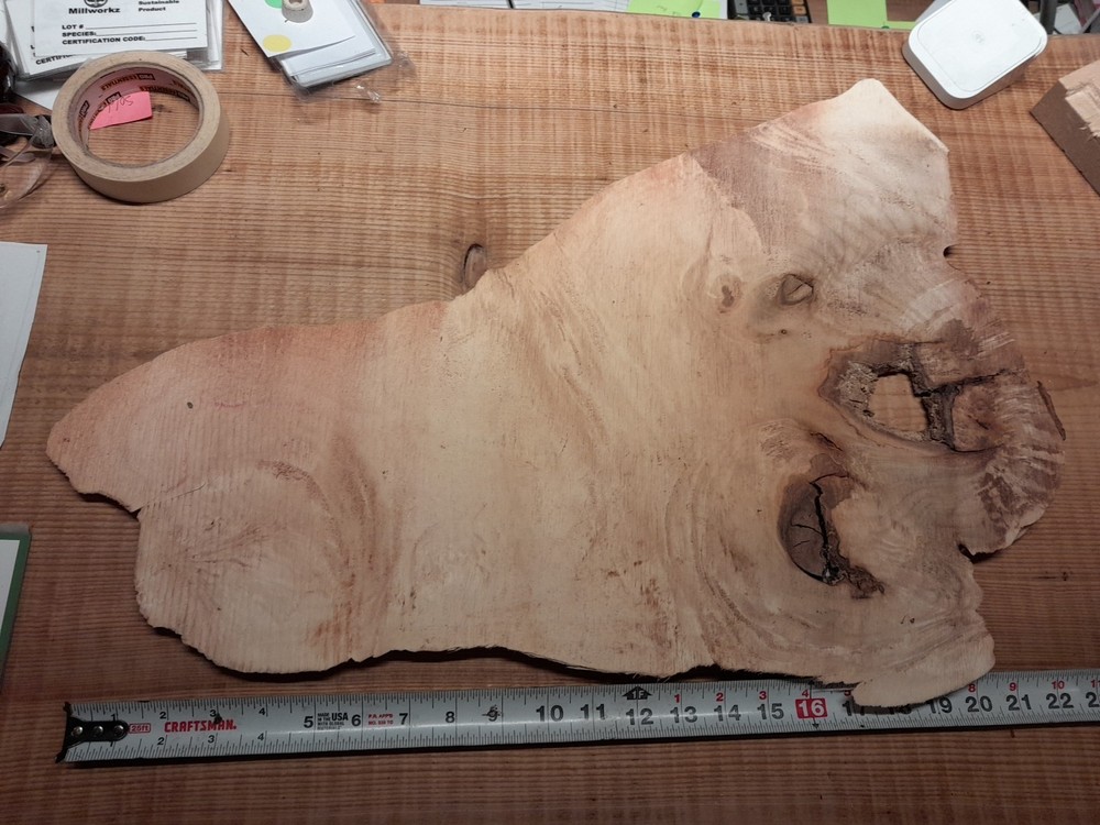 Live Edge Maple Burl 1/2 Inch Thick