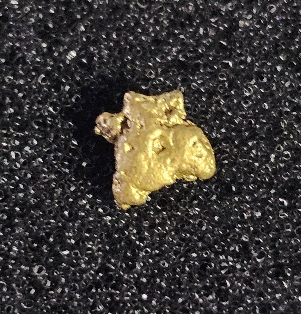 .30g American River CA Crystallized Gold Nugget
