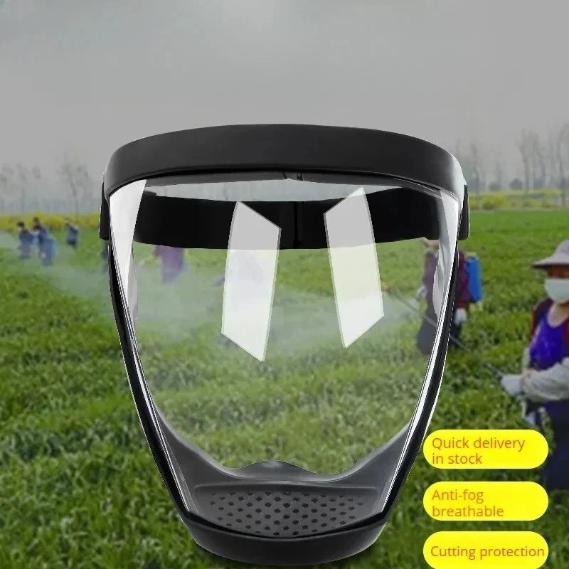 Anti-Fog Protective Mask