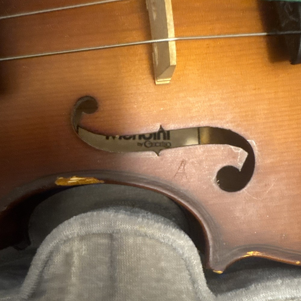 Violin In Case Instrument Mendini
