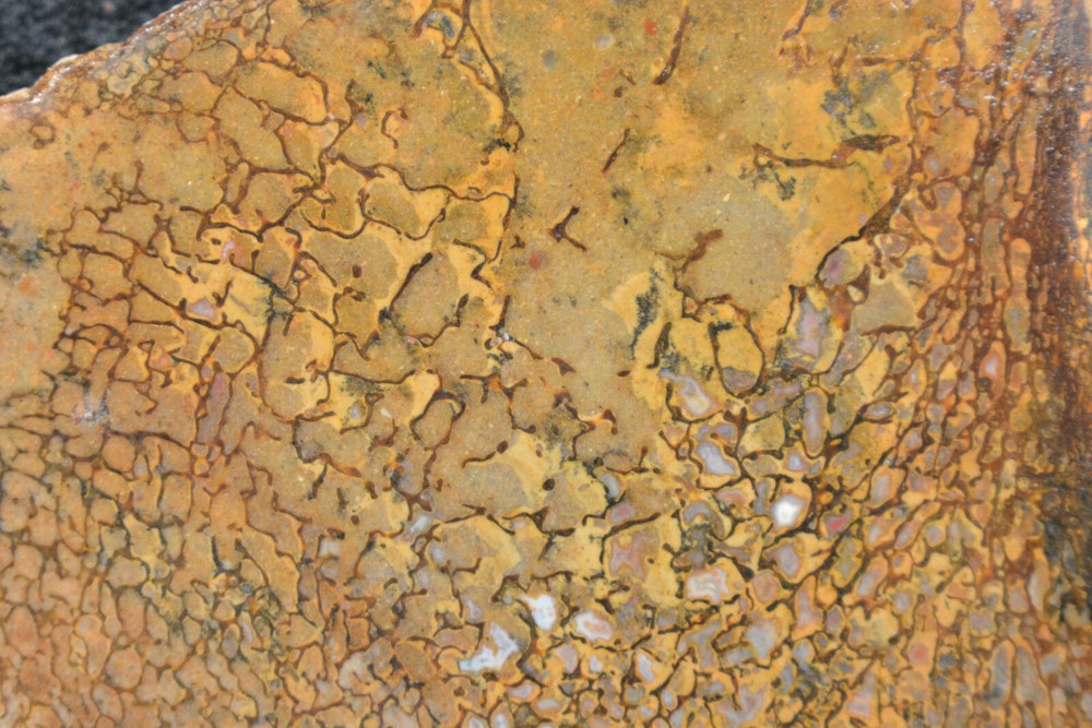 Agatized Dinosaur Bone Slab Utah Ex Shriley Collection