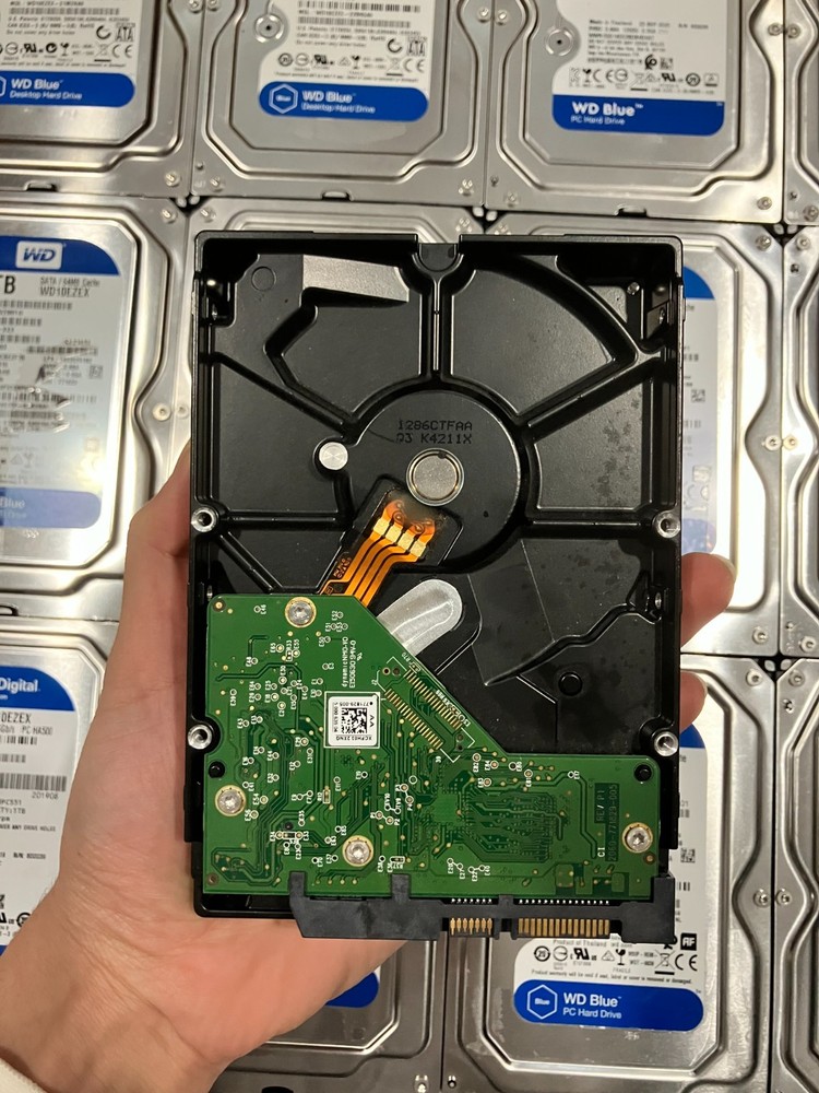 Western Digital 1TB Hard Drive
