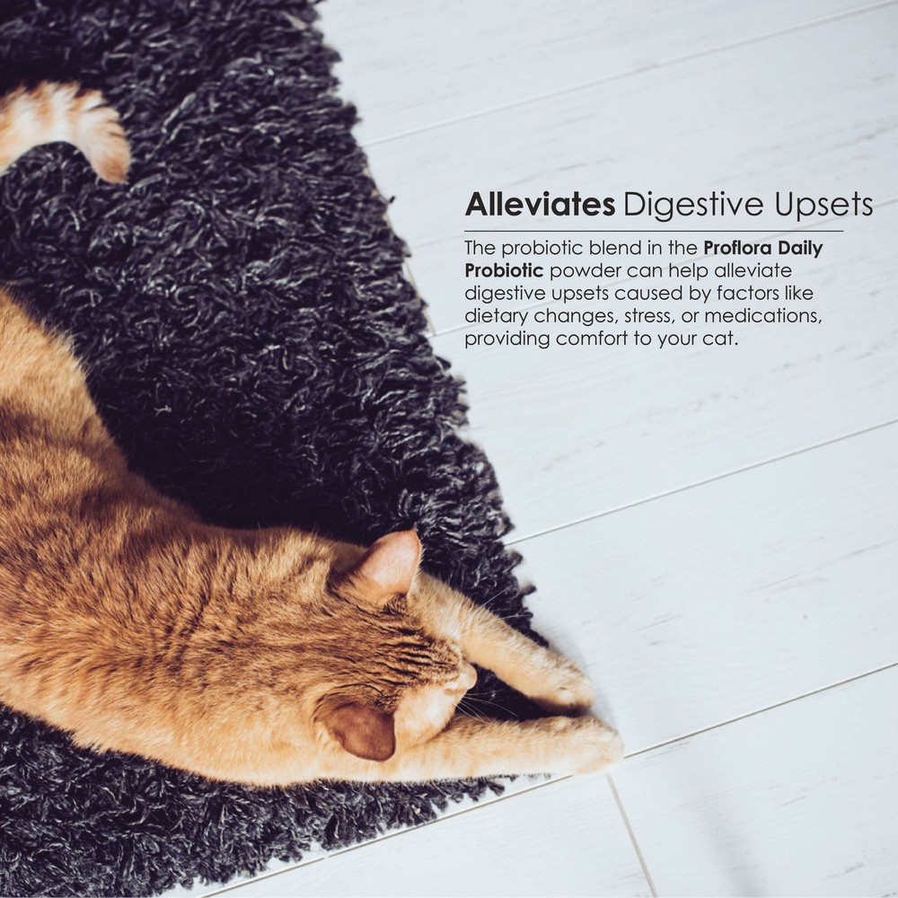 Proflora Probiotic for Cats (30 Servings)