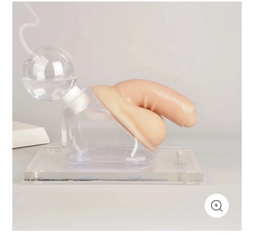 MedEduQuest Male Urethral Catherization Simulator For Students