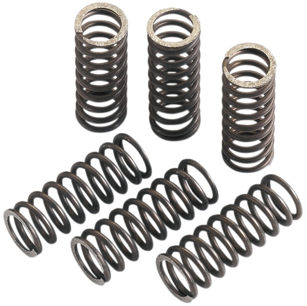 Moose Clutch Spring Set (FHDS42-5)