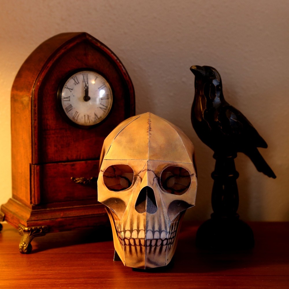 Human Skull paper model