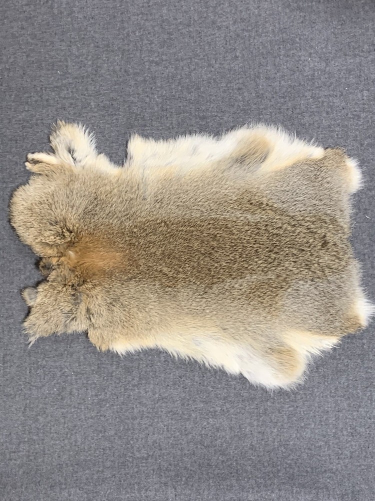 Printed Rabbit Pelt: Cougar