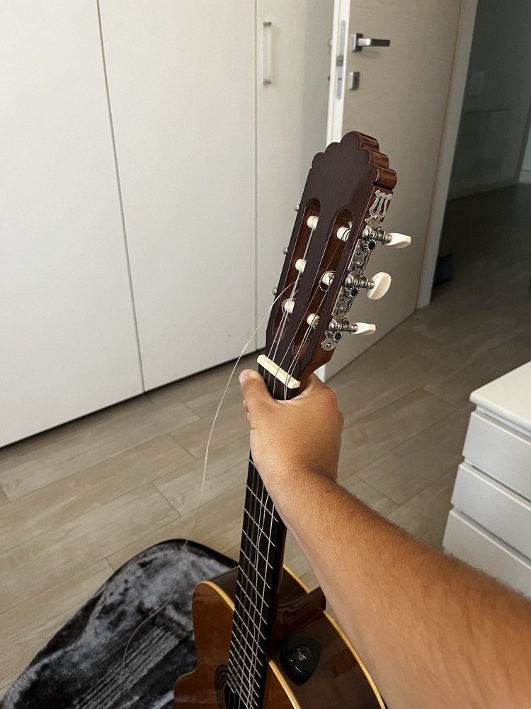 Altamira N100 Guitar