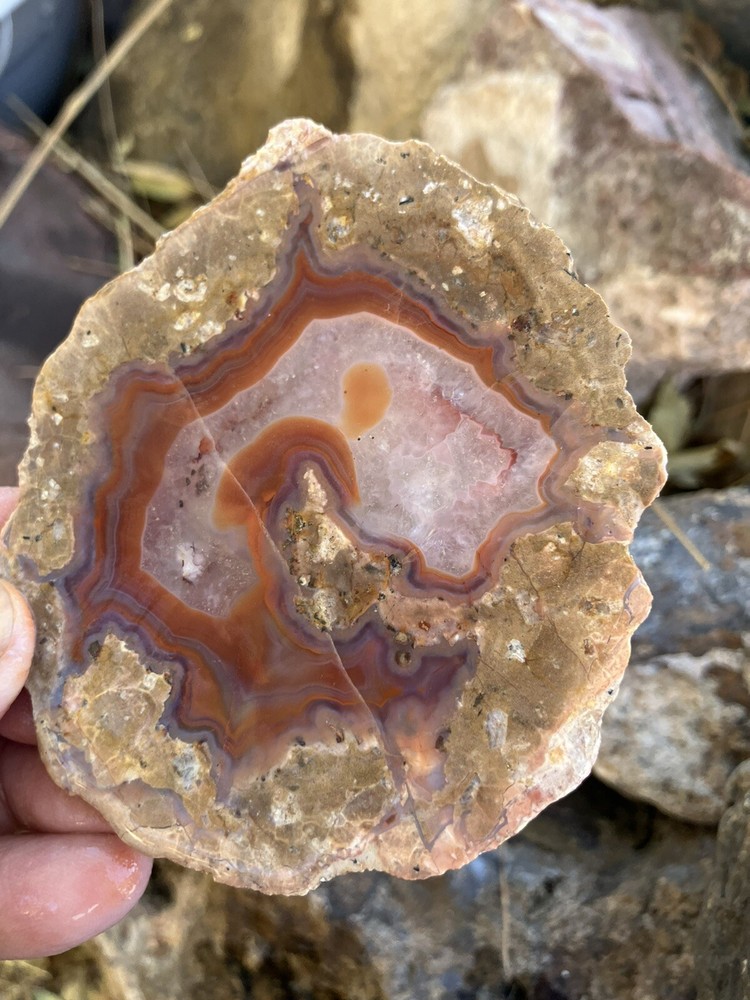 Laguna Agate Slab