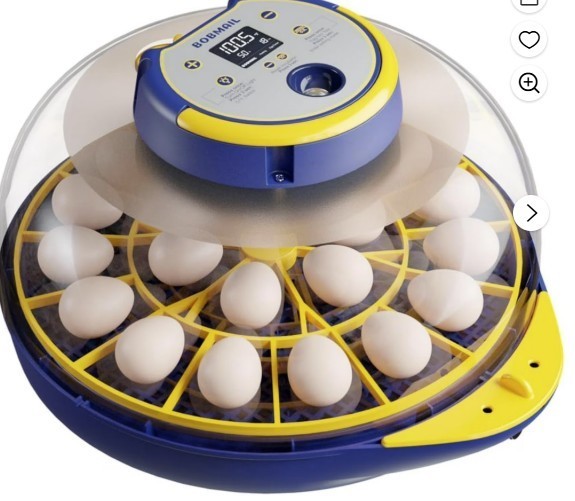 Bobmail 21 Egg IncubatorNIB