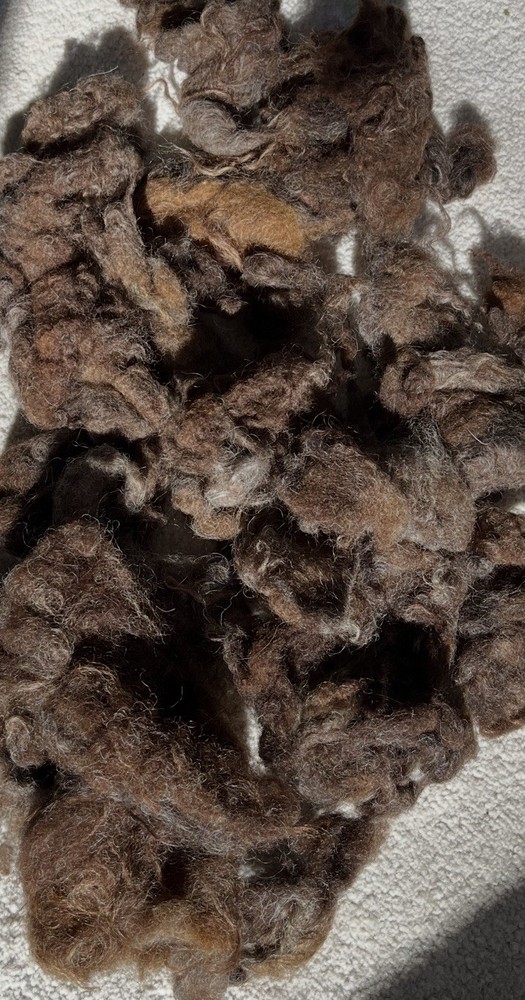 Natural Colored Wool Washed 8 Ounces.   #31