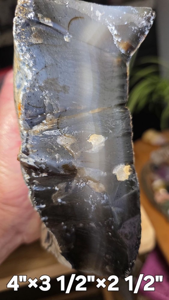 Montana Agate Rough 2lbs. 11oz.