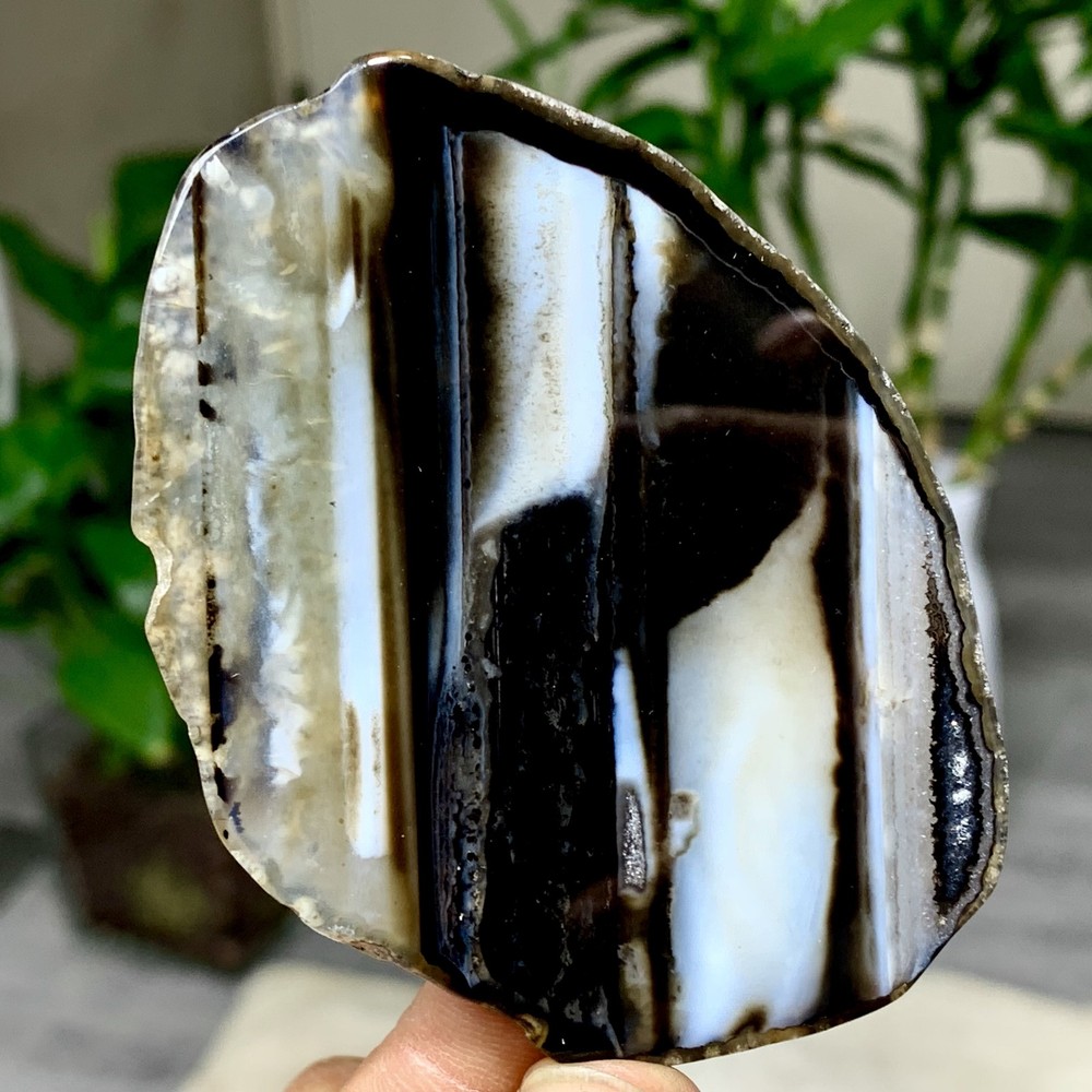 44G Natural Beautiful Agate Geode Druzy Slice Extra Large Gemstone
