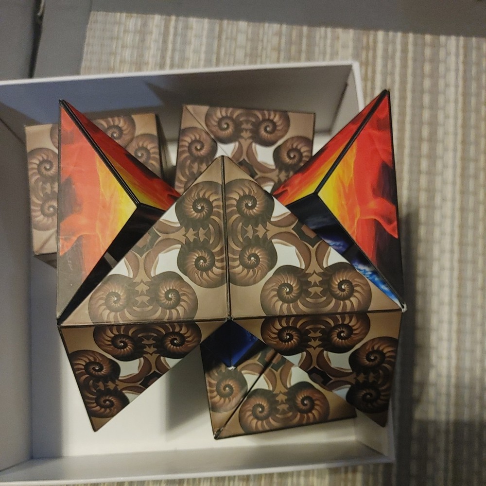 Set of 4 Euclidean Cube Nautilus