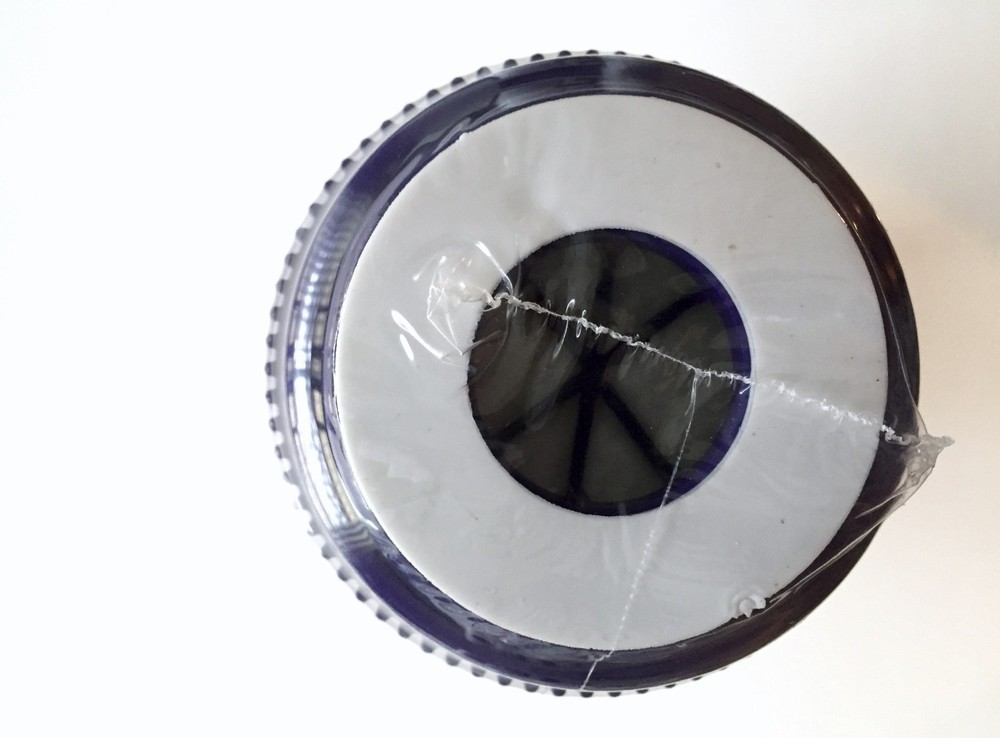 GAC GRANULAR ACTIVATED CARBON FILTER 2.5"X10" HYDRONIX