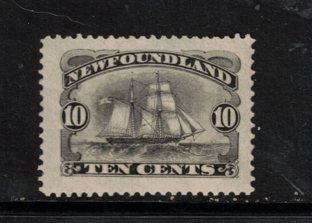 Newfoundland #59 Extra Fine Never Hinged Huge Jumbo **With Certificate**