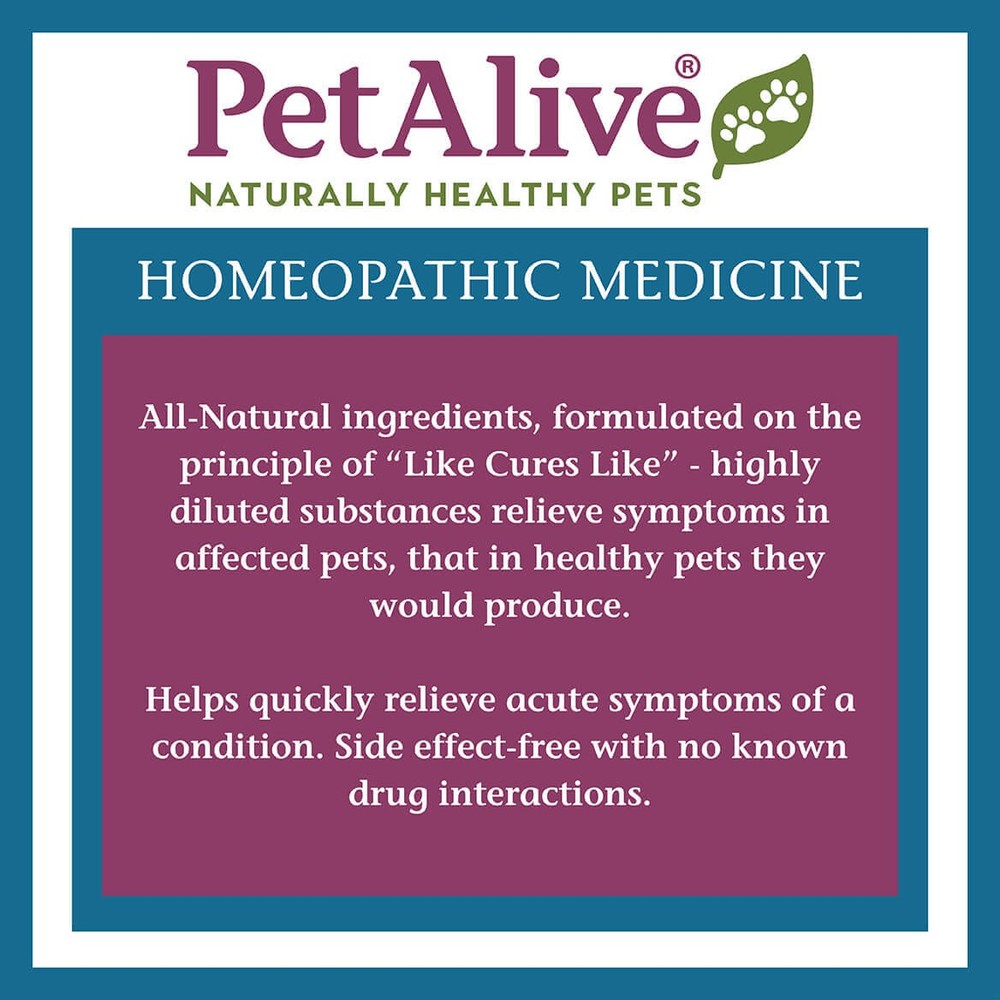 FCV Protect Granules for Cat Respiratory Problems