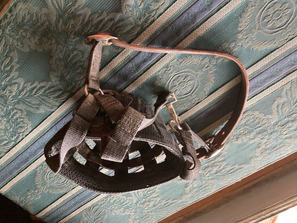 DA brand safety pony grazing muzzle