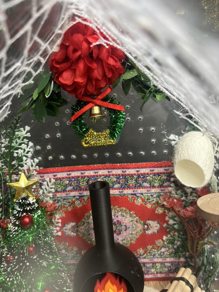 Christmas house jumping spider enclosure