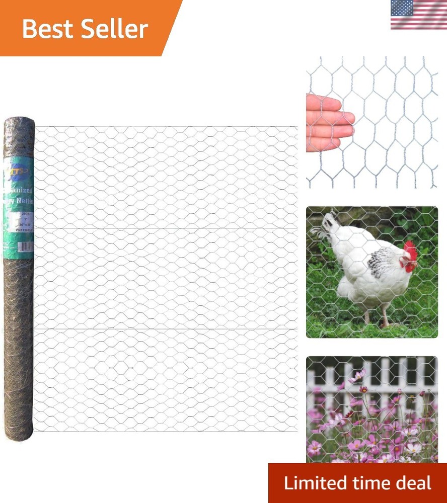 Versatile 20GA Galvanized Hexagonal Chicken Wire - 36'' x 25' for Enclosures