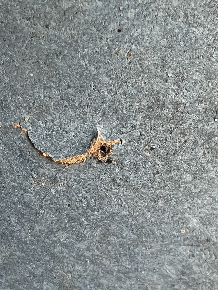 Vintage Porter Science Microcraft Senior Microscope #377 Original Box Untested