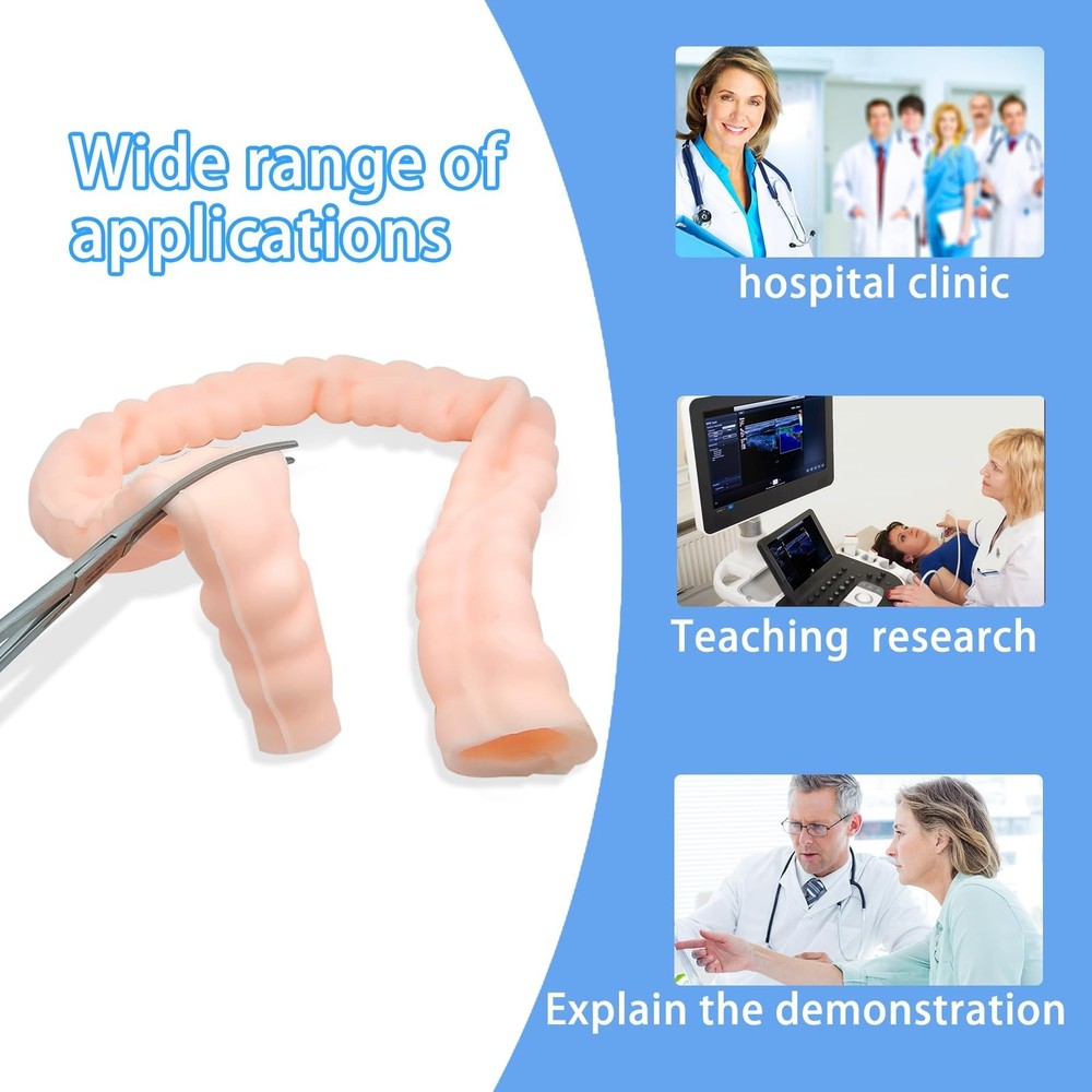 Large Intestine Model,Colon Suturing Practice,Electrocautery Practice, Unders...